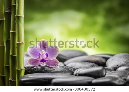 zen basalt stones ,orchid and bamboo