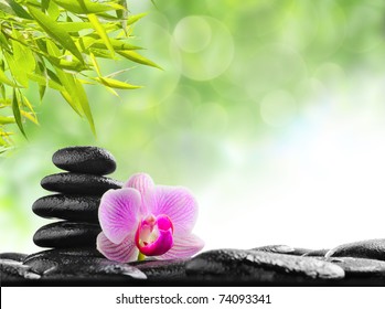 Zen Basalt Stones And Orchid With Dew