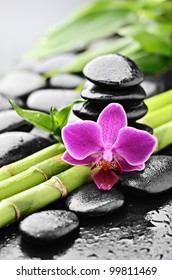 Zen Basalt Stones And Orchid With Dew