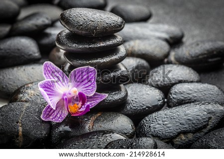 zen basalt stones and orchid on the black 