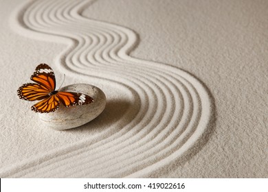 Zen butterfly