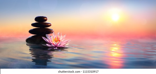 Zen Concept - Spa Stones And Waterlily In Lake At Sunset
