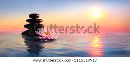 Zen Concept - Spa Stones And Waterlily In Lake At Sunset
