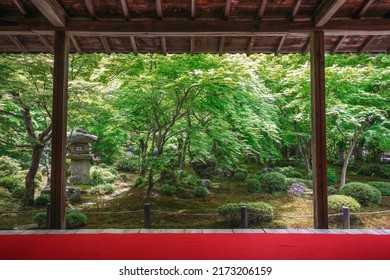 Zen Garden In Japanese Temple. Path In The Bamboo Forest. Tiny Statue Of Stone On The Moss Covered Ground. Old Wooden Bell Tower In The Green Maple Trees.