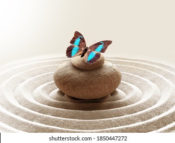 zen garden meditation stone background and butterfly with stones and circles in sand for relaxation balance and harmony spirituality or spa wellness.