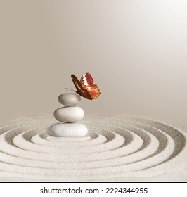 zen garden meditation stone background and butterfly with stones and lines in sand for relaxation balance and harmony spirituality or spa wellness.