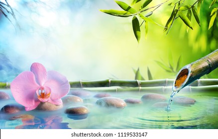 Zen Garden - Orchid In Japanese Fountain With Rocks And Bamboo
