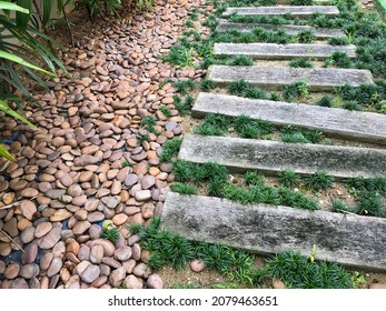 A Zen Garden Which Decorated With Concrete Slap, Brown Pebble, Mini Mondo Grass And Some Plant