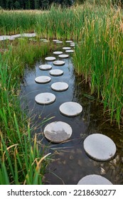 Zen Like Stone Path In Water 