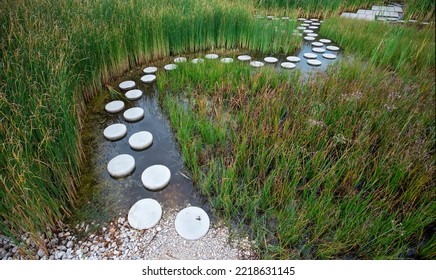 Zen Like Stone Path In Water 