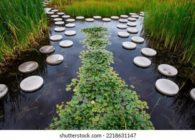 Zen Like Stone Path In Water 