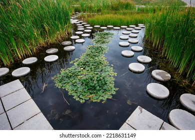 Zen Like Stone Path In Water 