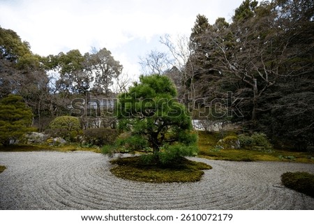 Zen meditation garden with raked gravel surrounding a small pine tree in Kyoto, Japan.