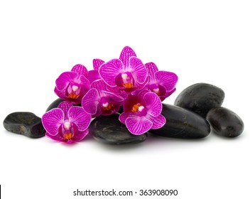 Zen Pebbles And Orchid Flower. Stone Spa And Healthcare Concept.