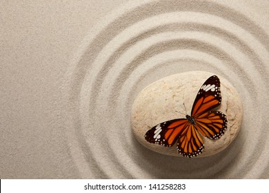 Zen rock with butterfly