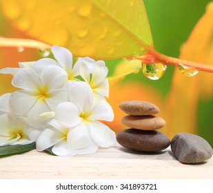 Zen spa concept background - Zen massage stones with frangipani plumeria flower and Water drops on the nature background 