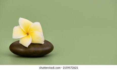 Zen stone and plumeria flower on green background.