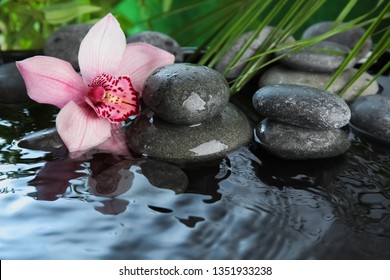 Zen Stones And Beautiful Exotic Flower In Water