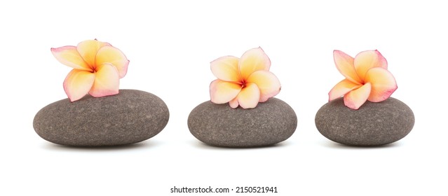 Zen stones and plumeria isolated on white background with clipping path.
