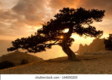 Idyllic Nature Zen Images Stock Photos Vectors Shutterstock