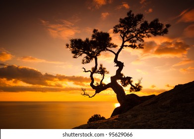 Idyllic Nature Zen Images Stock Photos Vectors Shutterstock