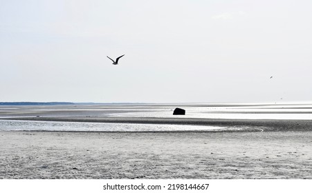 Zen View At Low Tide On A New England Beach