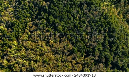 Similar – Image, Stock Photo zenithal aerial view of a beach in summer with bathers, water skates and thatched beach umbrellas for rent, handicapped access ramp and lookout tower seen from above, drone view