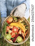 Zero waste, composting, bio waste concept. Farmer hand with vegetables and fruits food scraps in bucket, compost