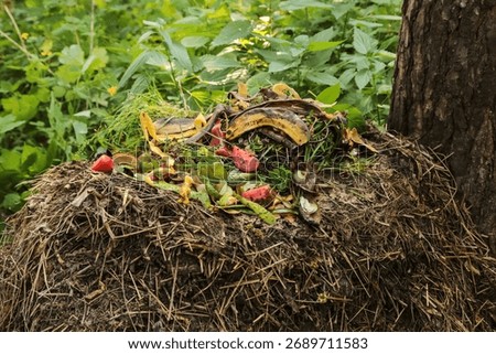 Zero waste, composting, separate waste collection concept. Compost pile heap in garden close up. Bio waste, vegetables and fruits food scraps