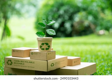 Zero waste concept Environmentally friendly packaging, recycling, reducing, reusing, environmental assortment. Environmentally friendly business