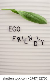 Zero Waste Concept, Pros And Cons. Black Letters On A Peg Board With Message Text Eco Friendly And A Fresh Green Leaf On White Background. Flat Lay.