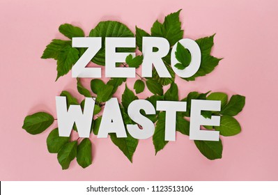 zero waste paper text witj green leaves on pink background 
