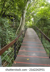 Zhishan Rock Hiking Trail, Shilin District, Taipei City Of Taiwan ,May 7 2022