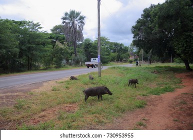 Zimbabwe, Victoria Falls Town