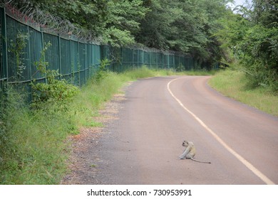 Zimbabwe, Victoria Falls Town