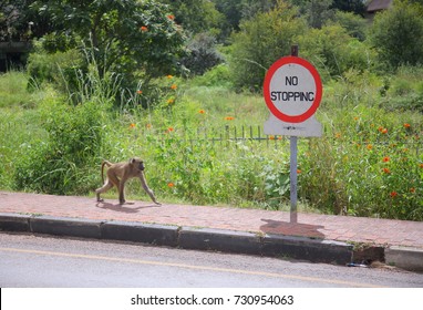 Zimbabwe, Victoria Falls Town