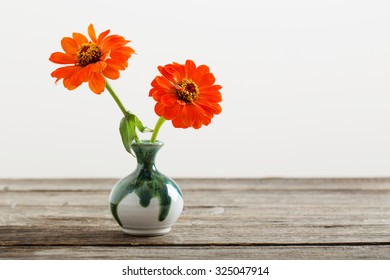 Zinnia Flower In A Vase