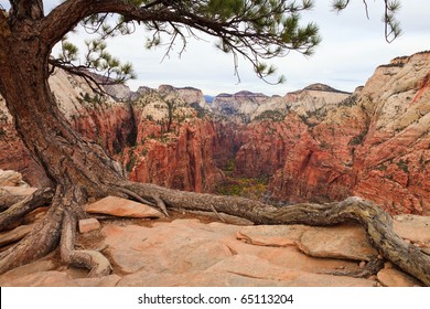 Zion Canyon View From Angels Landing.