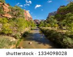 Zion National Park