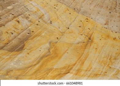 Zion National Park, Checkerboard Mesa, Abstract Yellow Rocks