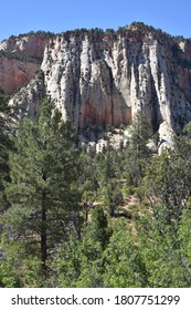 Zion National Park, UT. U.S.A. 8/12-15/2020. Nature’s 150-million Years Old Handiwork. Home To Native Americans 8,000 Years Ago.  The Virgin River Carved The Canyon Walls Of Navajo Sandstone. 