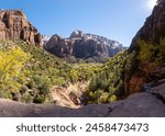 Zion National Park in Utah. Deer Trap and Great White Throne mountains viewed from Zion Canyon. View from rock ledge between Lower and Middle  Emerald Pools. Autumn foliage. 