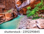 Zion National Park, Utah, USA narrowing trail. Beautiful scenery, views of incredibly picturesque cliffs and mountains. Concept, tourism, travel, landmark