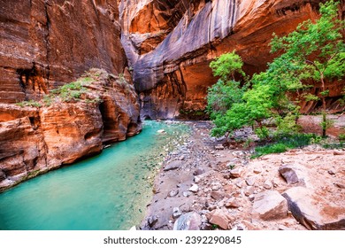 Zion National Park, Utah, USA narrowing trail. Beautiful scenery, views of incredibly picturesque cliffs and mountains. Concept, tourism, travel, landmark - Powered by Shutterstock