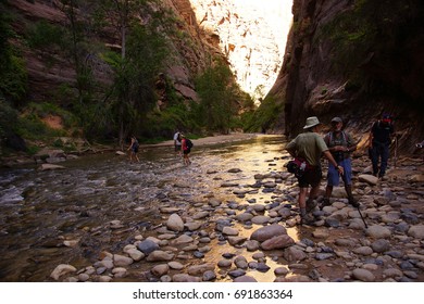 ZION, UTAH - SEP 26, 2013 - Hikers Wade Across The Virgin River, Zion National Park, Utah