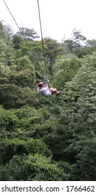 Zip Line In Costa Rican Jungle