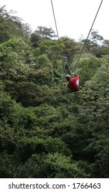 Zip Line In Costa Rican Jungle