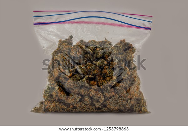 Zip Top Sandwich Bag Filled Deep Royalty Free Stock Image