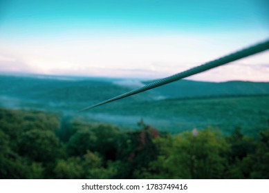 Zipline In The Forest In Nature