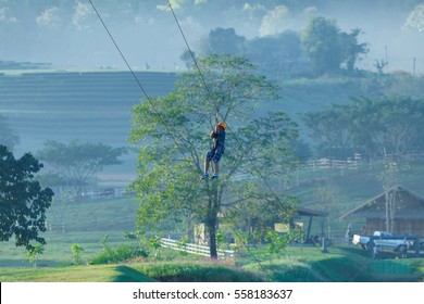 Zipline,adventure.